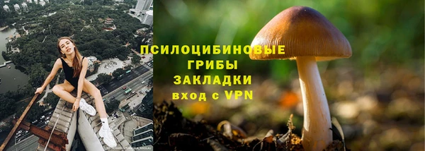марихуана Новодвинск