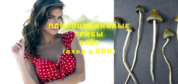 марихуана Новодвинск