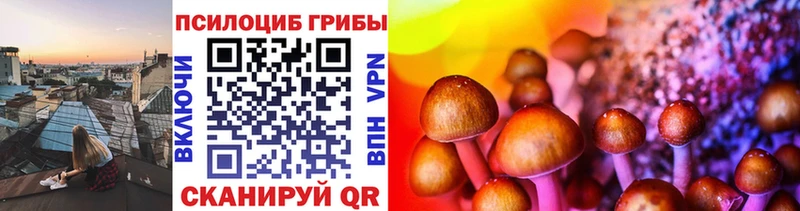 Купить закладки Мостовской Псилоцибиновые грибы Psilocybe