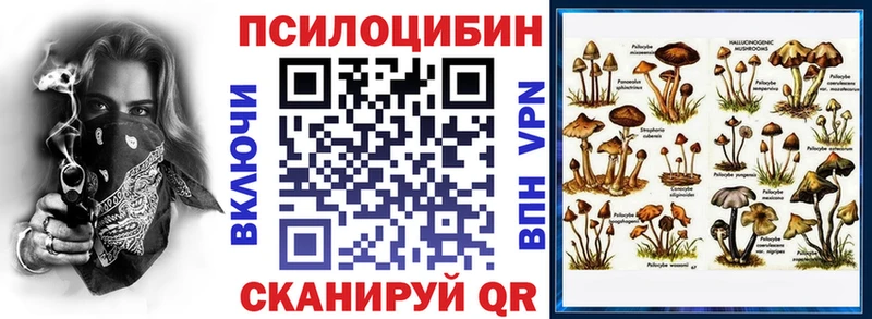 Галлюциногенные грибы Psilocybe Мостовской